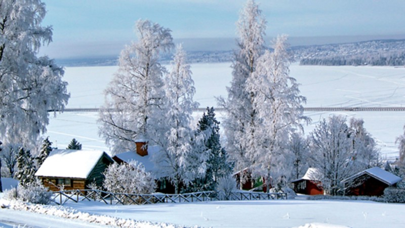 Dalajul p� Lerdalsh�jden i R�ttvik